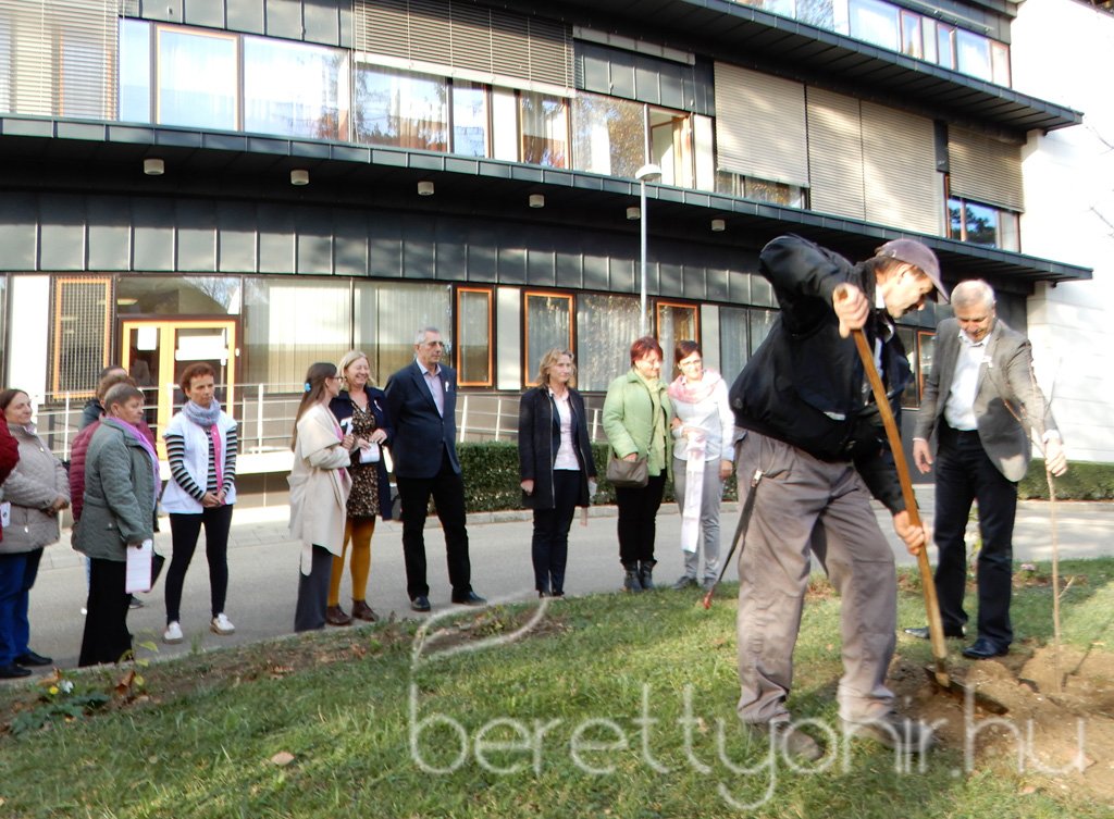 Tulipánfával a mellrák ellen 13